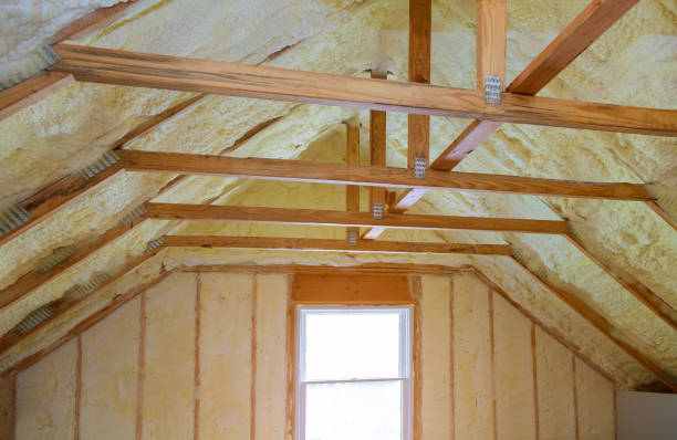 Professional Insulation Contractor in Cochran, GA