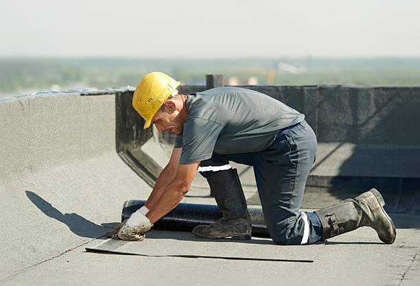 Best Geographic-Specific Insulation Services in Cochran, GA