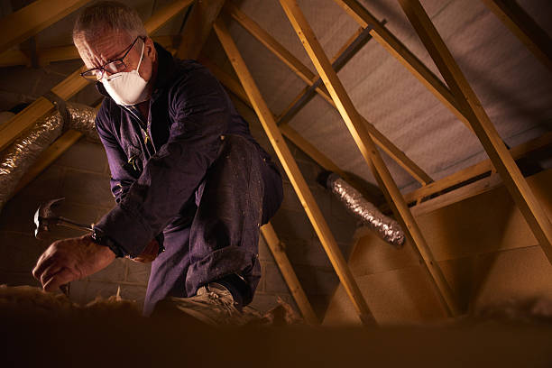 Types of Insulation We Offer in Cochran, GA