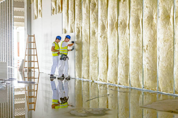 Best DIY Insulation Kits and Guidance in Cochran, GA